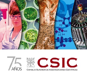 La collection  “Nueva Roma” du CSIC, une réponse à la crise des sciences humaines