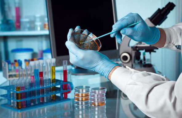 Recherche en biomédecine