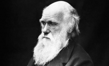 "Darwin y The Descent of Man: &#65279;l'antiguitat i els orígens de la Humanitat el segle XIX"